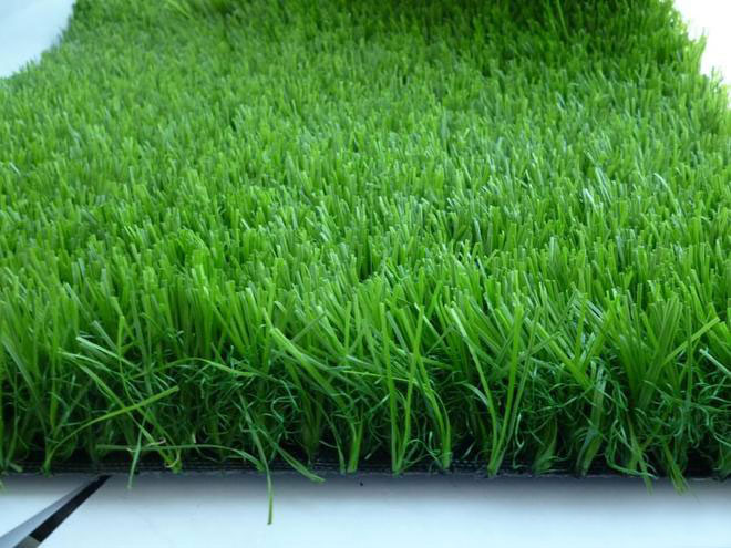 1686822634171226.jpg yry2.jpg